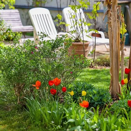 Maison Conviviale #en Ville #jardin #terrasse