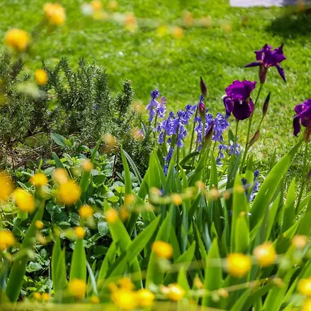 Country house Maison Conviviale #en Ville #jardin #terrasse Cognac